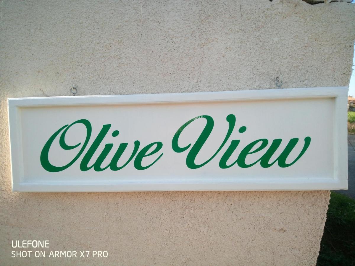 Olive View Villa Puissalicon Ngoại thất bức ảnh